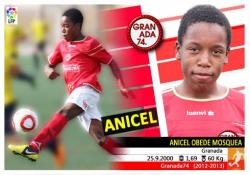 Anicel (Granada 74) - 2013/2014